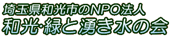 ʌasNPOE΂ƗN̉