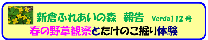NPO@l@aE΂ƗN̉@VERDA112 \ @http://wako-wakimizu.org/@g߂ȎRmAe A낤
