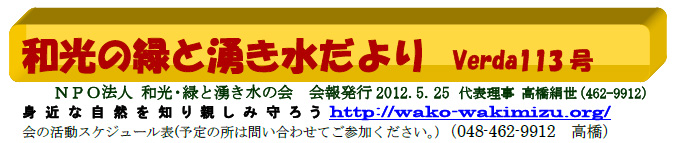 NPO@l@aE΂ƗN̉@VERDA113 \ @http://wako-wakimizu.org/@g߂ȎRmAe A낤