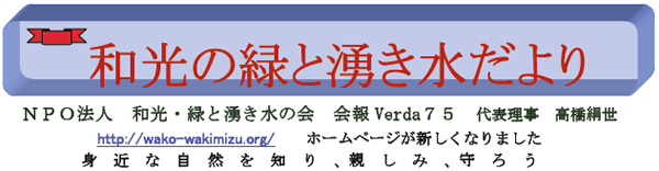 NPO@l@aE΂ƗN̉@VERDA74@http://wako-wakimizu.org/@g߂ȎRmAe݁A낤