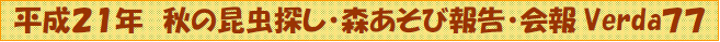 QPN H̍TEXѕ񍐁E@VERDA77