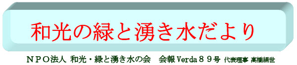 NPO@l@aE΂ƗN̉@VERDA89 \ 