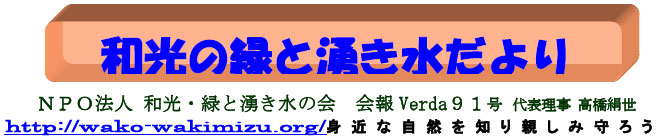 NPO@l@aE΂ƗN̉@VERDA91 \ @http://wako-wakimizu.org/@g߂ȎRmAe A낤