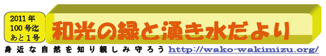 NPO@l@aE΂ƗN̉@VERDA91 \ @http://wako-wakimizu.org/@g߂ȎRmAe A낤