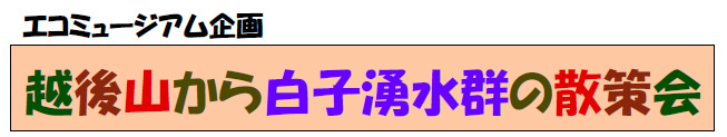 エコミュージアム企画 越後山から白子湧水群の散策会